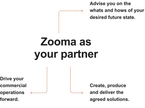 Zooma-as-a-partner3