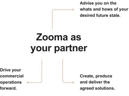 Zooma-as-a-partner3