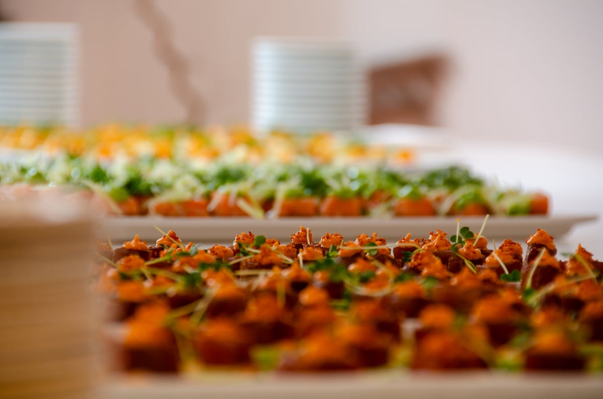 Zooma_house_warming12