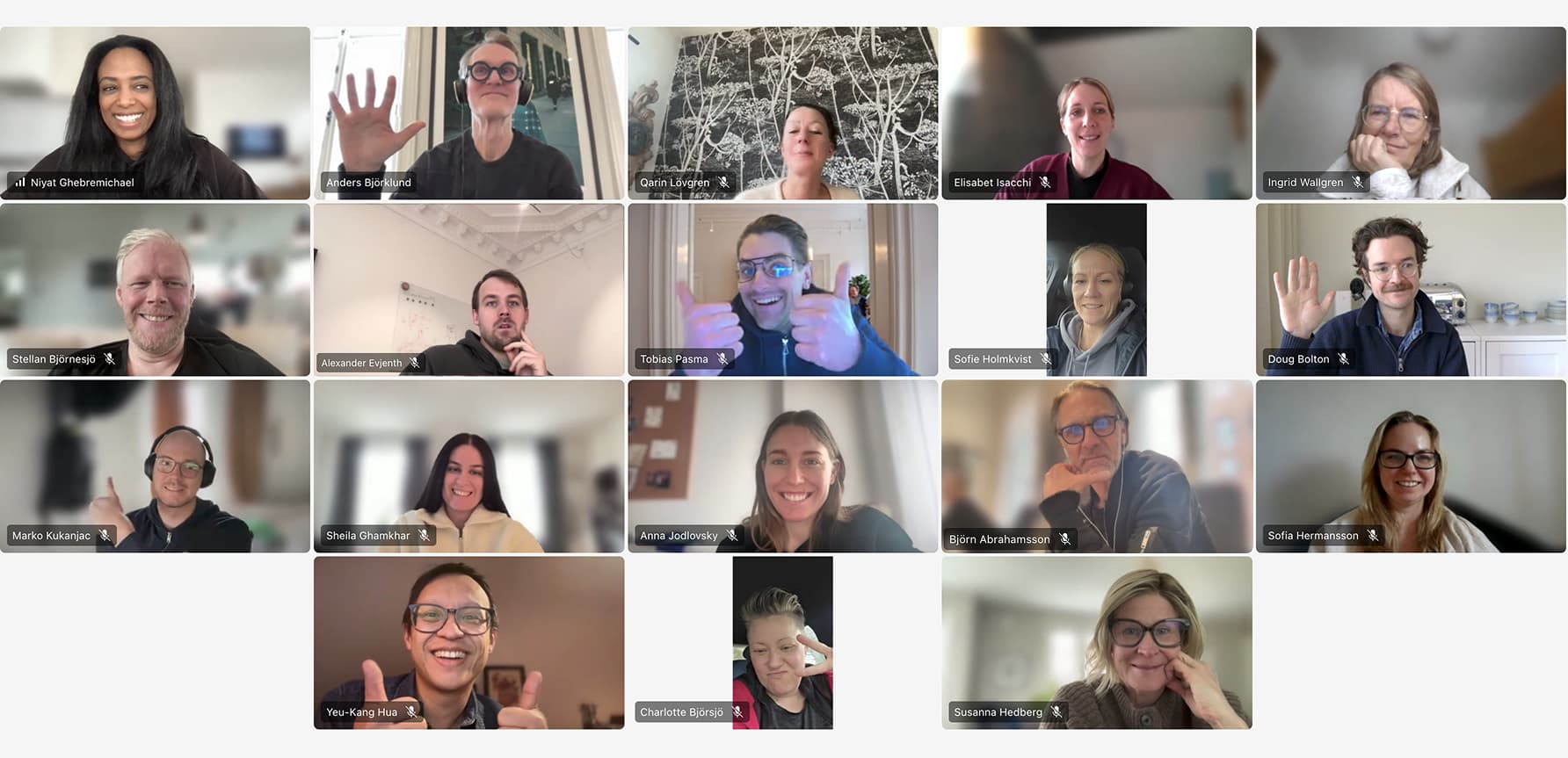 Screenshots-of-Zoomers-during-Certification-Day-2026-03-25