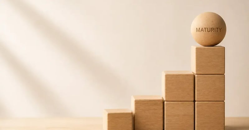 Stepped wooden blocks leading to a sphere labelled "MATURITY", representing organisational growth and ABM maturity.
