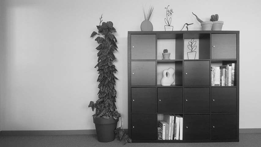 Zooma-Governance-BW