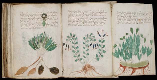 Voynich Manuscript