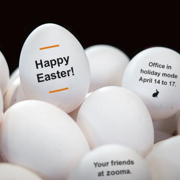 Zooma-2017-easter-eggs.jpg