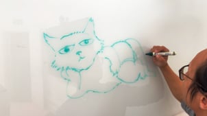 kang-cat-1