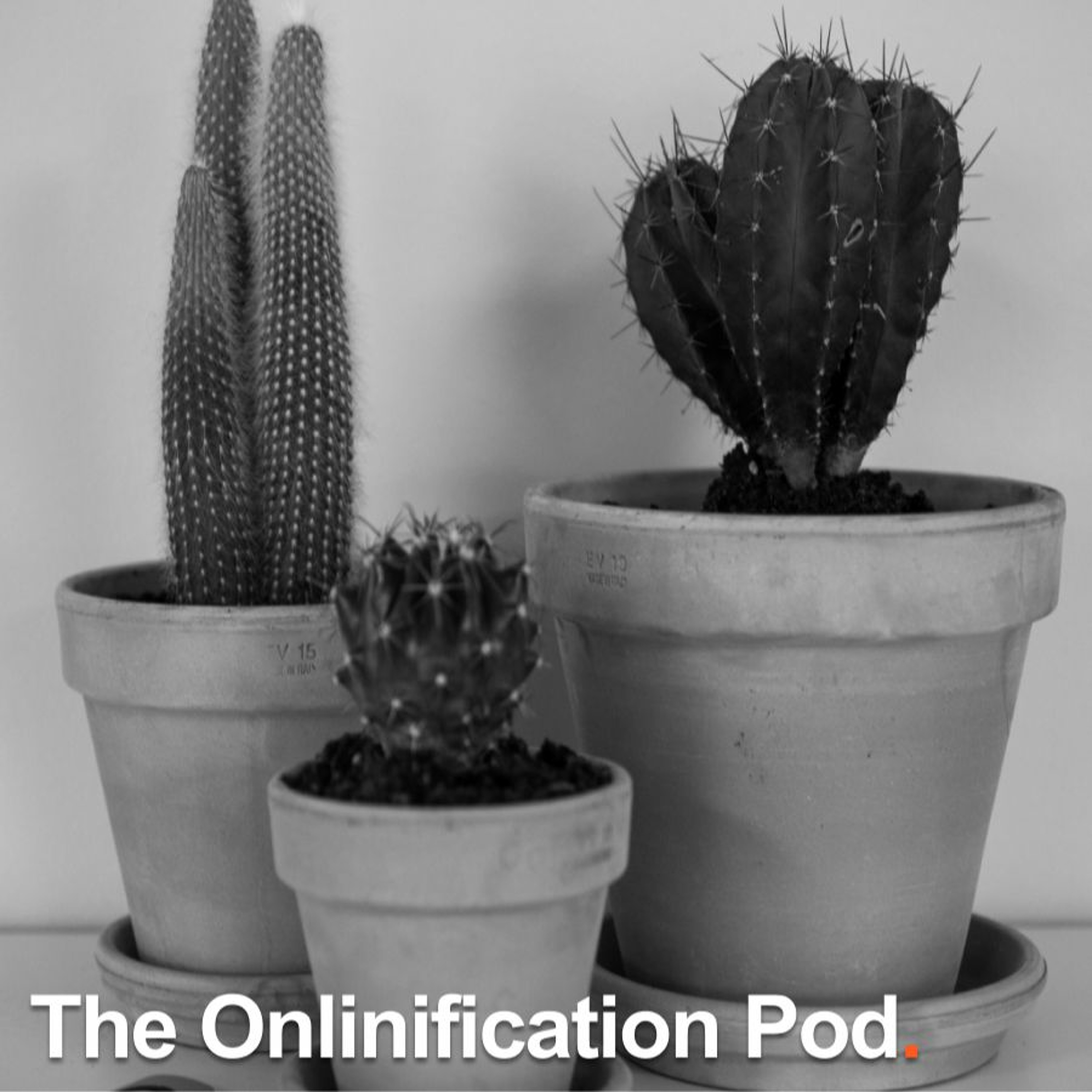 #17: Making sense of digital buzzwords
